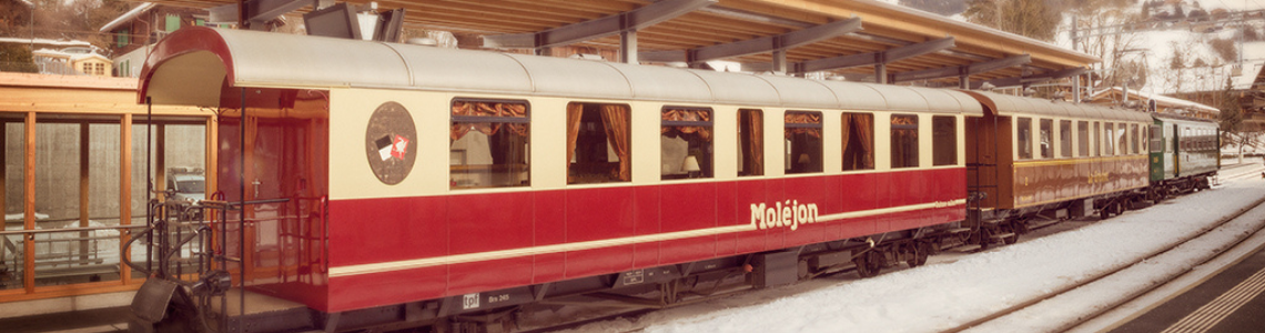 Petit train Fribourg, Audioguidé